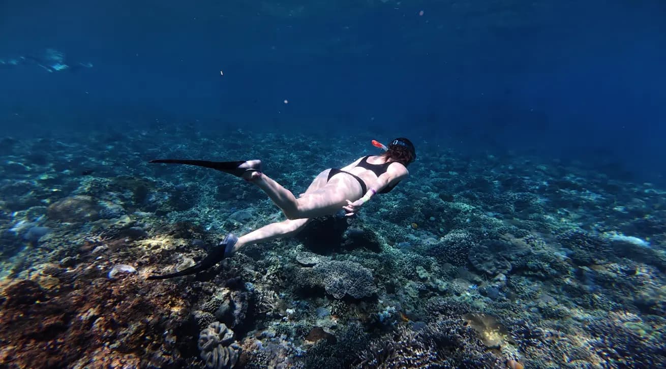 nusa penida snorkeling manta ray
