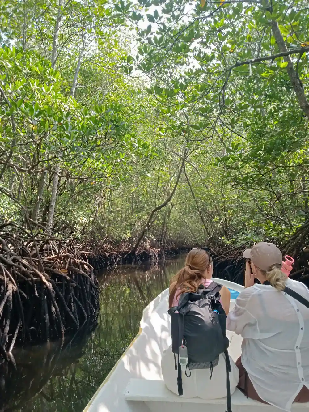 mangrove tour lembongan